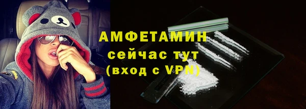 мдпв Богородск
