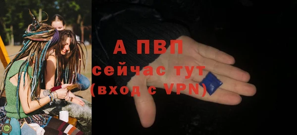 мдпв Богородск