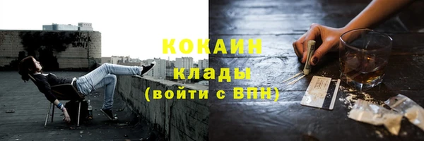 метадон Богданович