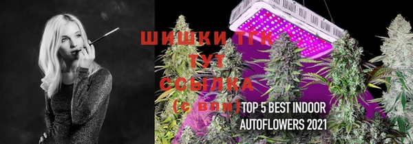 метадон Богданович