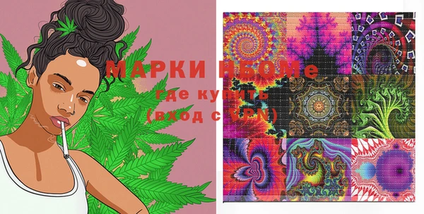 мдпв Богородск