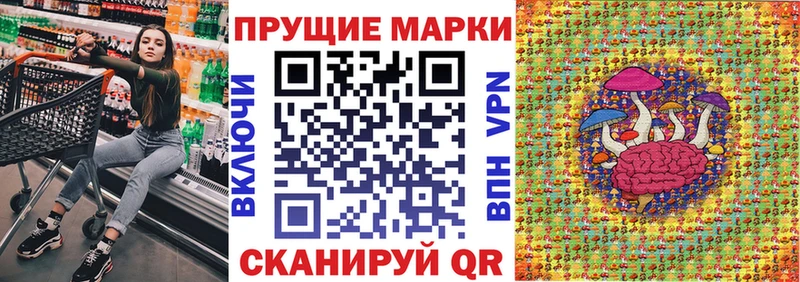 Наркотические марки 1500мкг  купить закладку  blacksprut зеркало  Купино 